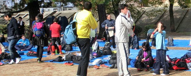 武庫川のユリカモメ 武庫川のユリカモメ