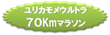 ユリカモメウルトラ70Kmマラソン